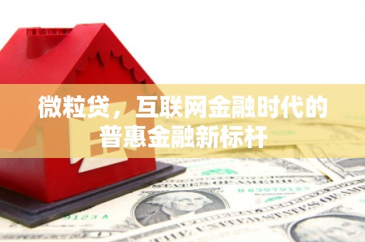 岱岳微粒贷，互联网金融时代的普惠金融新标杆