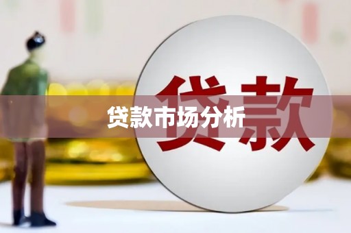 岱岳贷款市场分析