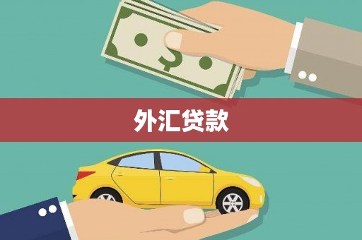 岱岳外汇贷款