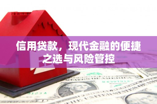 岱岳信用贷款，现代金融的便捷之选与风险管控