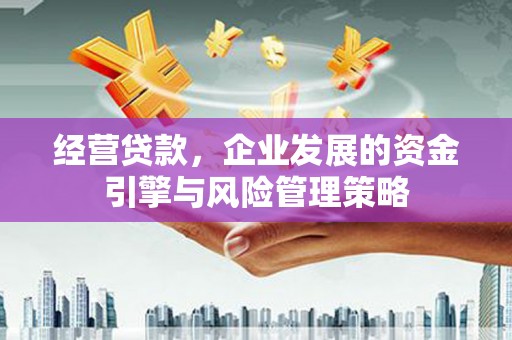 岱岳经营贷款，企业发展的资金引擎与风险管理策略