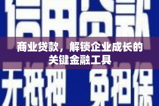 岱岳商业贷款，解锁企业成长的关键金融工具