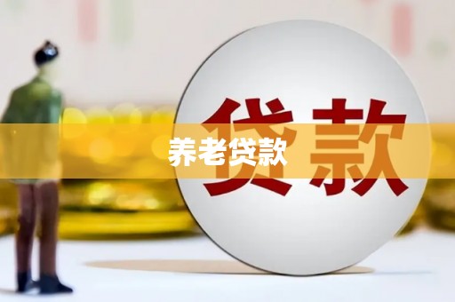 岱岳养老贷款