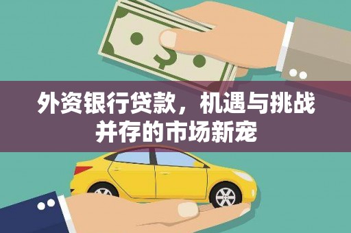 岱岳外资银行贷款，机遇与挑战并存的市场新宠