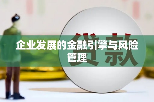 岱岳企业发展的金融引擎与风险管理