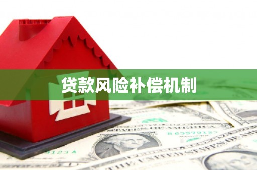 岱岳贷款风险补偿机制