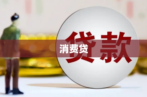 岱岳消费贷