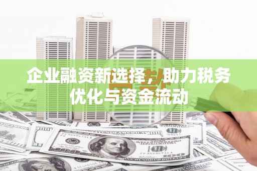 岱岳企业融资新选择，助力税务优化与资金流动