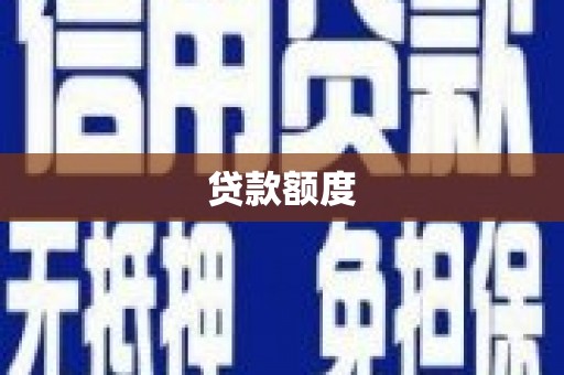 岱岳贷款额度