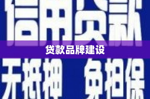 岱岳贷款品牌建设