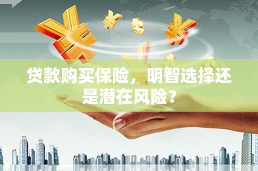 岱岳贷款购买保险，明智选择还是潜在风险？