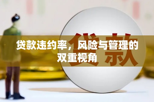 岱岳贷款违约率，风险与管理的双重视角
