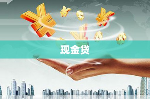 岱岳现金贷