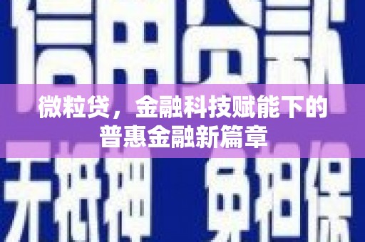 岱岳微粒贷，金融科技赋能下的普惠金融新篇章