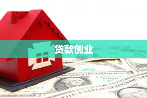 岱岳贷款创业