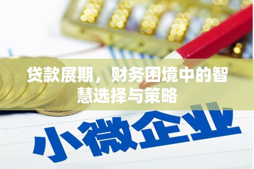 岱岳贷款展期，财务困境中的智慧选择与策略