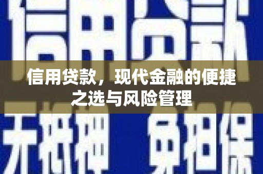 岱岳信用贷款，现代金融的便捷之选与风险管理