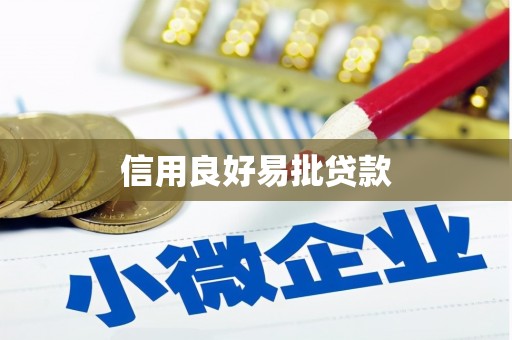 岱岳信用良好易批贷款