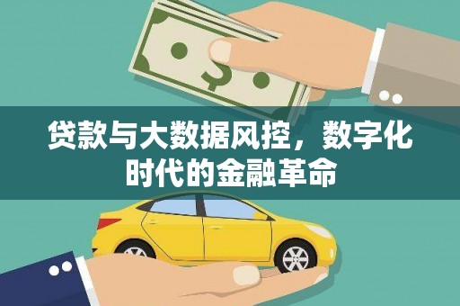 岱岳贷款与大数据风控，数字化时代的金融革命