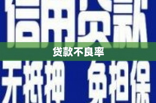 岱岳贷款不良率
