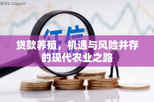 岱岳贷款养殖，机遇与风险并存的现代农业之路