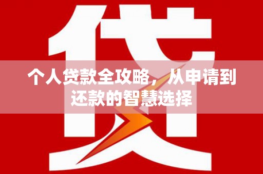 岱岳个人贷款全攻略，从申请到还款的智慧选择