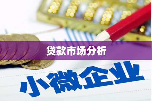 岱岳贷款市场分析