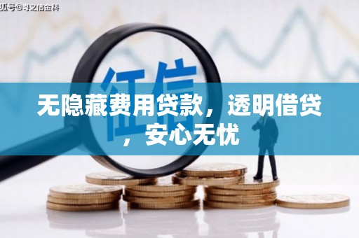 岱岳无隐藏费用贷款，透明借贷，安心无忧