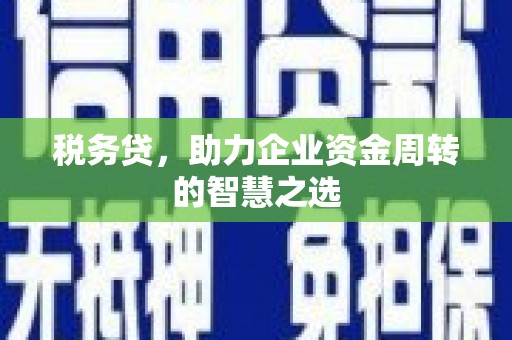 岱岳税务贷，助力企业资金周转的智慧之选