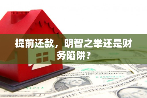 岱岳提前还款，明智之举还是财务陷阱？