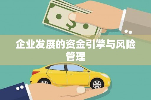 岱岳企业发展的资金引擎与风险管理
