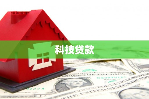岱岳科技贷款