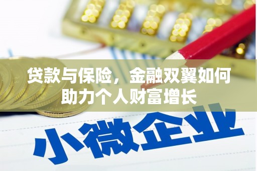 岱岳贷款与保险，金融双翼如何助力个人财富增长