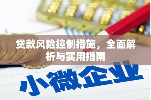 岱岳贷款风险控制措施，全面解析与实用指南