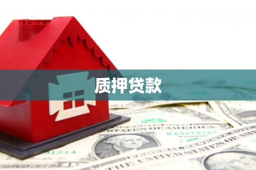 岱岳质押贷款