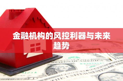 岱岳金融机构的风控利器与未来趋势
