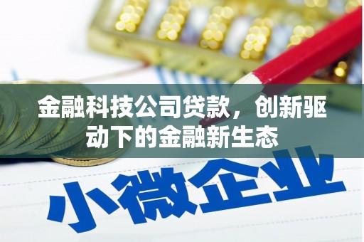 岱岳金融科技公司贷款，创新驱动下的金融新生态