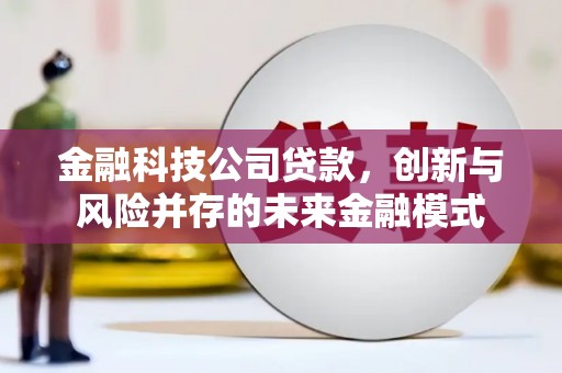 岱岳金融科技公司贷款，创新与风险并存的未来金融模式