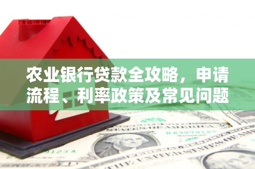 岱岳农业银行贷款全攻略，申请流程、利率政策及常见问题解析