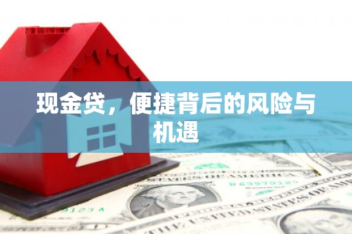 岱岳现金贷，便捷背后的风险与机遇