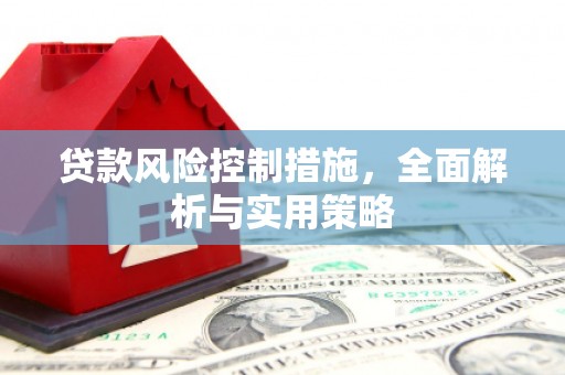 岱岳贷款风险控制措施，全面解析与实用策略