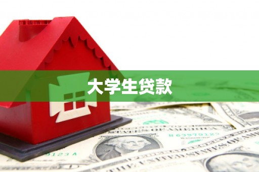 岱岳大学生贷款