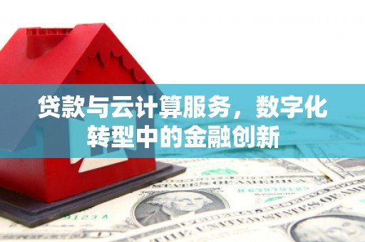岱岳贷款与云计算服务，数字化转型中的金融创新