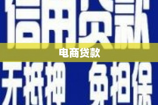 岱岳电商贷款