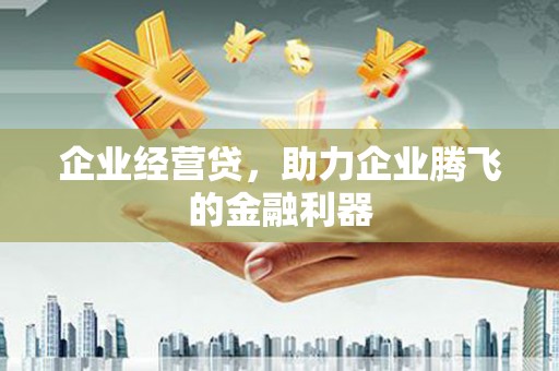 岱岳企业经营贷，助力企业腾飞的金融利器
