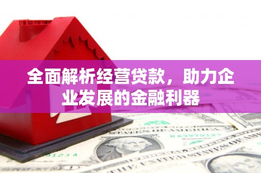 岱岳全面解析经营贷款，助力企业发展的金融利器