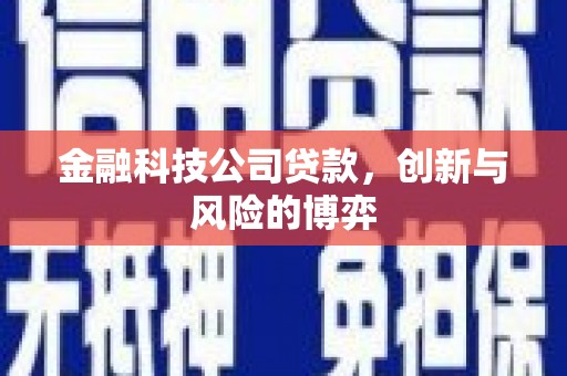 岱岳金融科技公司贷款，创新与风险的博弈