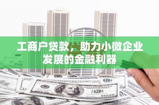 岱岳工商户贷款，助力小微企业发展的金融利器