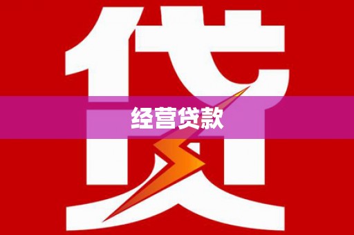 岱岳经营贷款