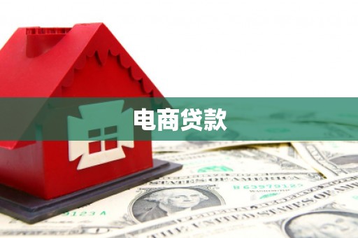 岱岳电商贷款
